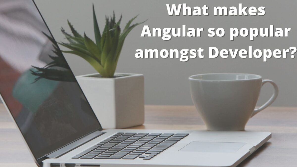 What makes Angular so popular amongst developers?